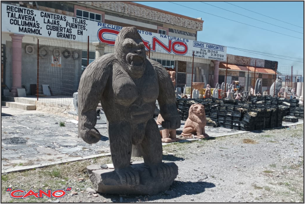 gori niksa puebla